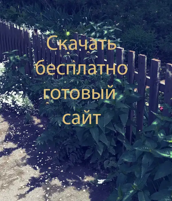 скачать готовый  сайт